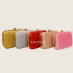 Evening Party Clutches for Women